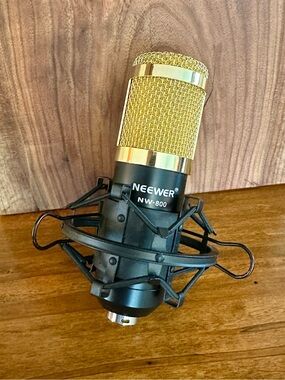 Neewer® NW-800 Professional Studio Broadcasting & Recording Microphone